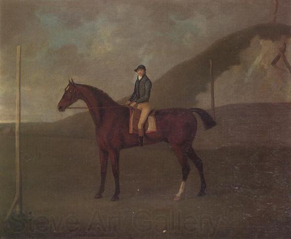 John Nost Sartorius 'Creeper' a Bay colt with Jockey up at the Starting post at the Running Gap in the Devils Ditch,Newmarket Spain oil painting art